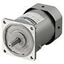 AC Motor