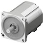Brushless DC Motor