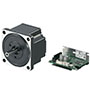 Brushless DC Motor