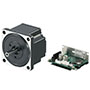Brushless DC Motor