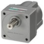 Brushless DC Motor